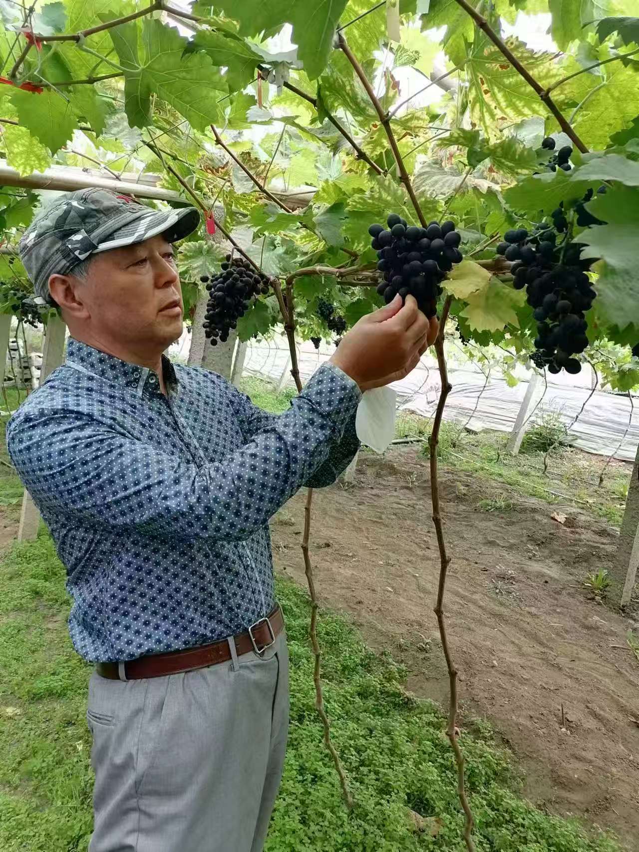 微信图片_20250728164631.jpg